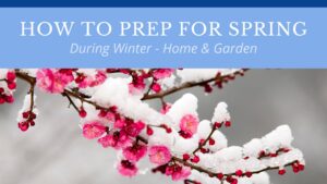 prep for spring, winter, home and garden