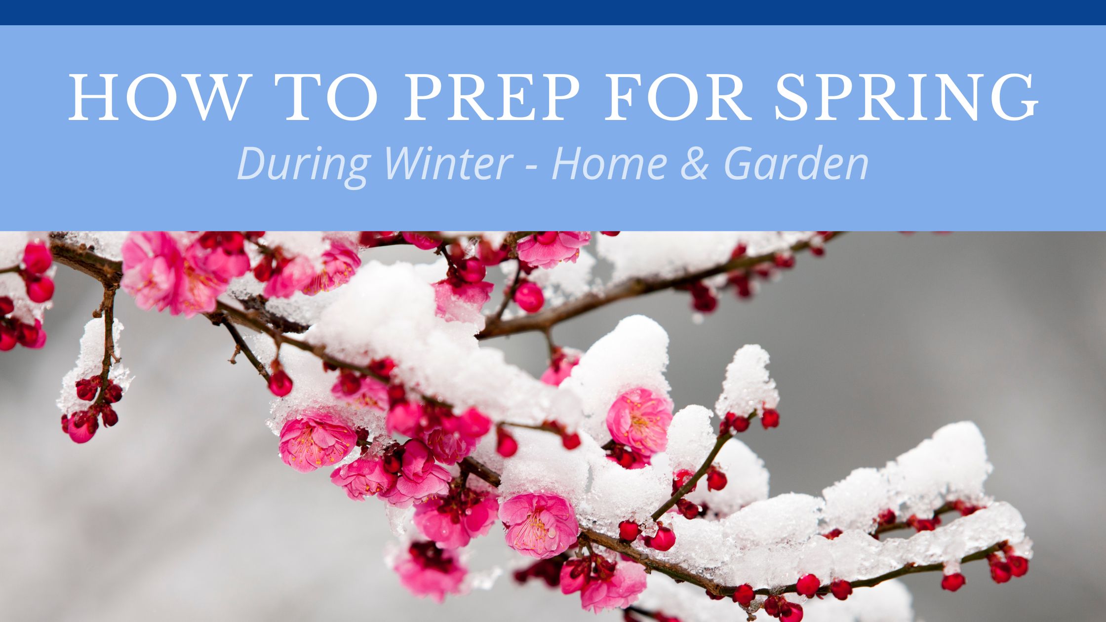prep for spring, winter, home and garden